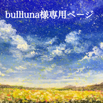 【bullluna様専用ページ】