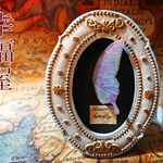 幻想蝶の標本