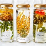 【手作りキット】3本セット　ザ・植物標本　カッコイイ ハーバリウムキット　
