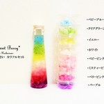 【期間限定】１５％OFF【プリザーブドフラワー】紫陽花・あじさい　虹～Ｒａｉｎｂｏｗ～（８色）セット