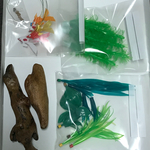 金魚と水草（バラ売り）