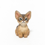 コルクのアビシニアン子猫