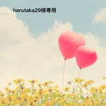 harutaka29様専用
