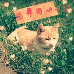arfm1118様 オーダーメイド 注文ページ