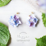 淡水パールの淡い額紫陽花ピアス・イヤリング　Light Blue