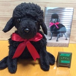 ht様オーダーメイド品 ミニュチュアプードル