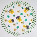ー小花の押し花　アソート（ビオラ他）ー