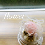 プチドーム〜薔薇〜ver.3ー③⑤