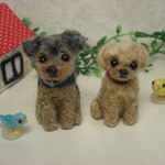 aikuureo様写真からのご注文品　２点　ヨーキー、ミックス犬