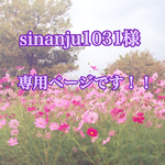 sinanju1031様専用ページです！！