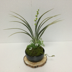 苔玉