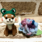 柴犬ちゃんと紫陽花