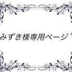 みずき様専用ページ*