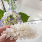 一点物！！   ジュエリー風、紫陽花 押し花バレッタ ✨