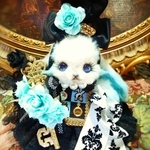 【S様専用】 アリスブルーロップちゃん☆