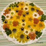 ♡new♡ 送料無料！¥1140 ♡たっぷり押し花セット♡