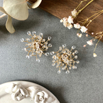 Gypsophila　⑻