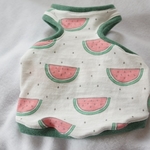 🍉スイカマッチョタンク🍉