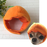みかんの被り物