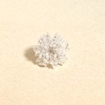 星花 ピアス/イヤリング