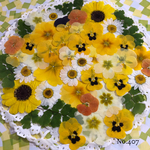 ♡new♡ 送料無料！¥1020 ♡たっぷり押し花セット♡
