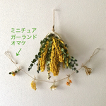 【anzu12様・専用ページ】ミモザとユーカリの葉2種類のスワッグ