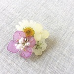 B級品SALE★夕化粧ブローチ