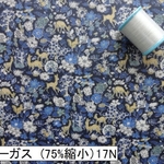 縮小　ファーガス　17N　ビニコ　リバティ　ホビーラホビーレ