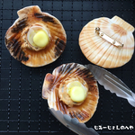 【新作】ホタテのバター醤油焼きブローチ