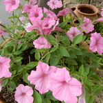 【　ｋさま　ご注文のお品♬　】