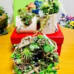 RINKA様専用ページ🐸🌿🌵🍄