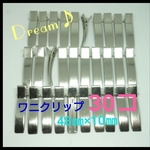 クリップ 48㎜×10㎜ 30コ