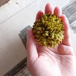 【受注生産】Flower Broach - Hair Clip ■ボールマム■オリーブ