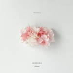 barrette " cherry S " 031