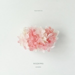 barrette " cherry M " 032