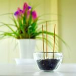 香炉セット ＊再販②＊