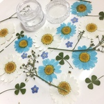 押し花☆水色系25枚セット