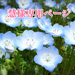 慧様専用ページ金魚ネックレスセット