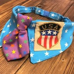 犬・猫　ゆったり37～41　cocoちゃんネクタイチョーカーお試し価格！　アメリカンスター