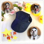 ☆送料無料☆ 犬用 帽子（超小型犬，小型犬用）