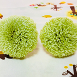 ピンポンマム