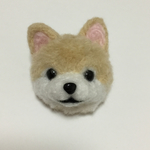 ポンポン ポメラニアン 柴犬カット