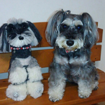 オーダー製作❣️ミニチュアシュナウザーの心香ちゃん🎀