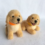 LOVELY💗PUPPY ゴールデンレトリバー🐾