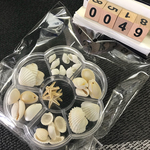 【300円SALE】貝殻パーツset   t049