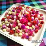 【訳あり】千日紅センニチコウのドライフラワー☆ヘッド45～50個☆ミックスカラー