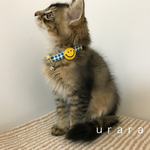 ニコちゃん︎☺︎の首輪＊17~25cmの間で調整可能[S~Mｻｲｽﾞ]