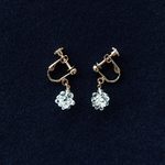 つぶつぶミニミニの耳飾り