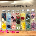 kanaechanda様専用ページ♡