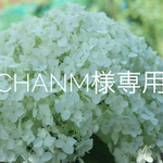 chanm様専用